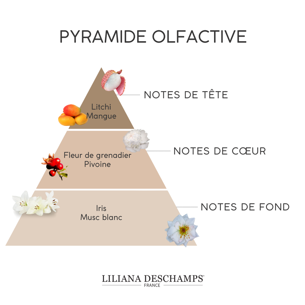 Pyramide olfactive de Lily mon premier Renascere